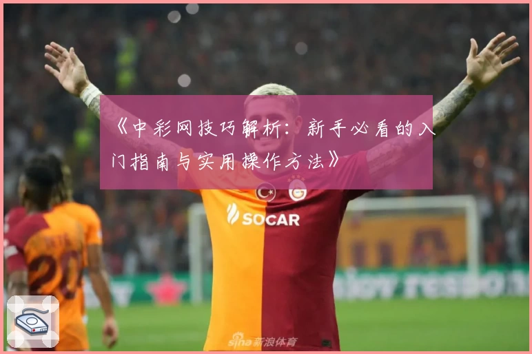 《中彩网技巧解析：新手必看的入门指南与实用操作方法》