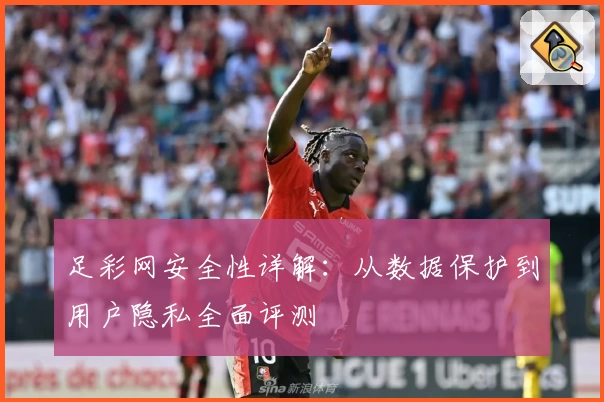 足彩网安全性详解：从数据保护到用户隐私全面评测