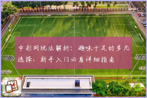 中彩网玩法解析：趣味十足的多元选择，新手入门必看详细指南