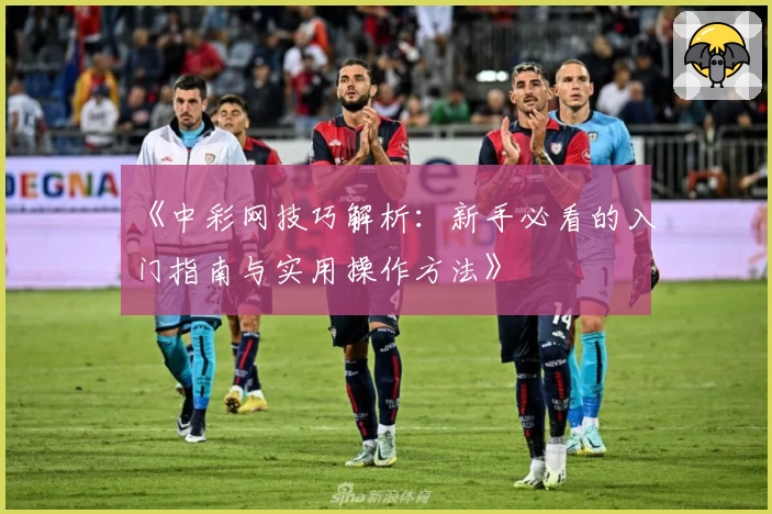 《中彩网技巧解析：新手必看的入门指南与实用操作方法》