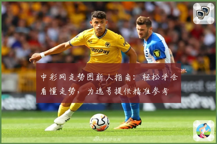 中彩网走势图新人指南：轻松学会看懂走势，为选号提供精准参考