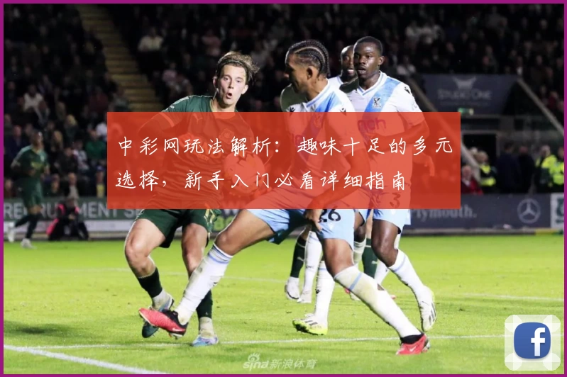 中彩网玩法解析：趣味十足的多元选择，新手入门必看详细指南